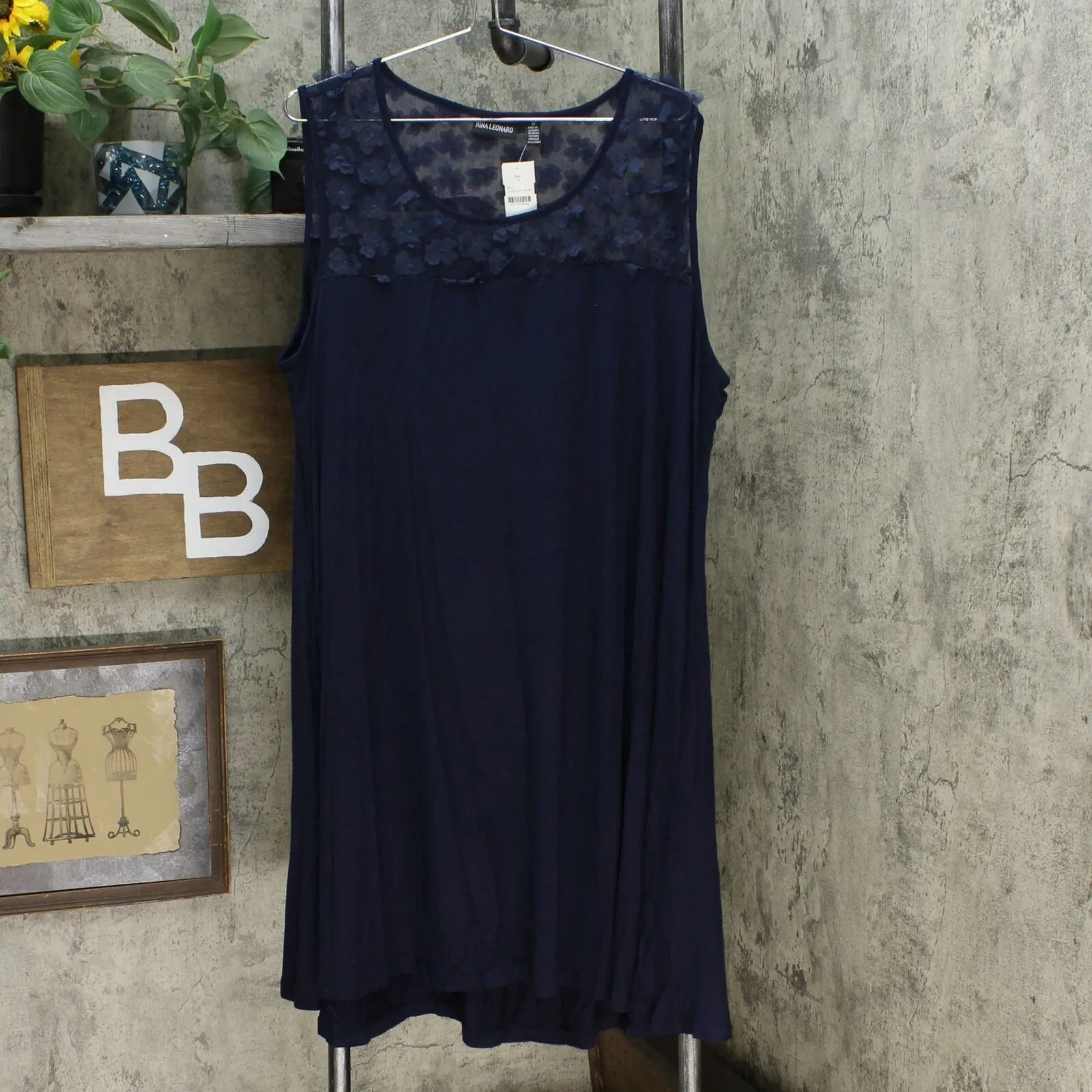 Nina Leonard Women's Plus Size Sleeveless Dress With 3D Floral Chiffon Yoke