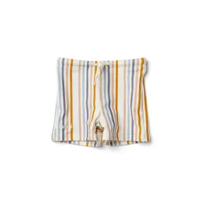 Otto Swim Pants - Stripe: Multi