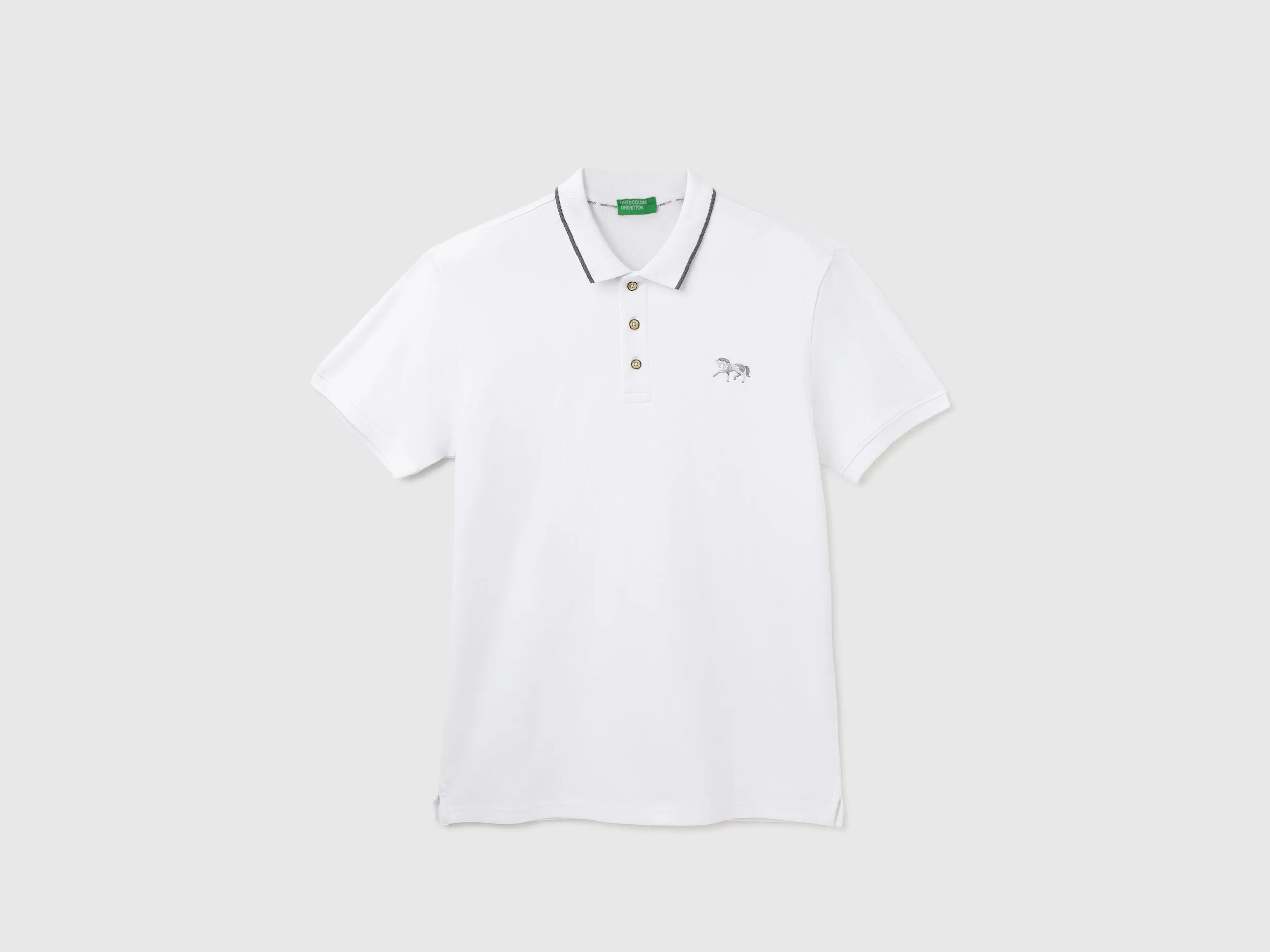 Regular Fit Ribbed Collar Solid T-Shirt