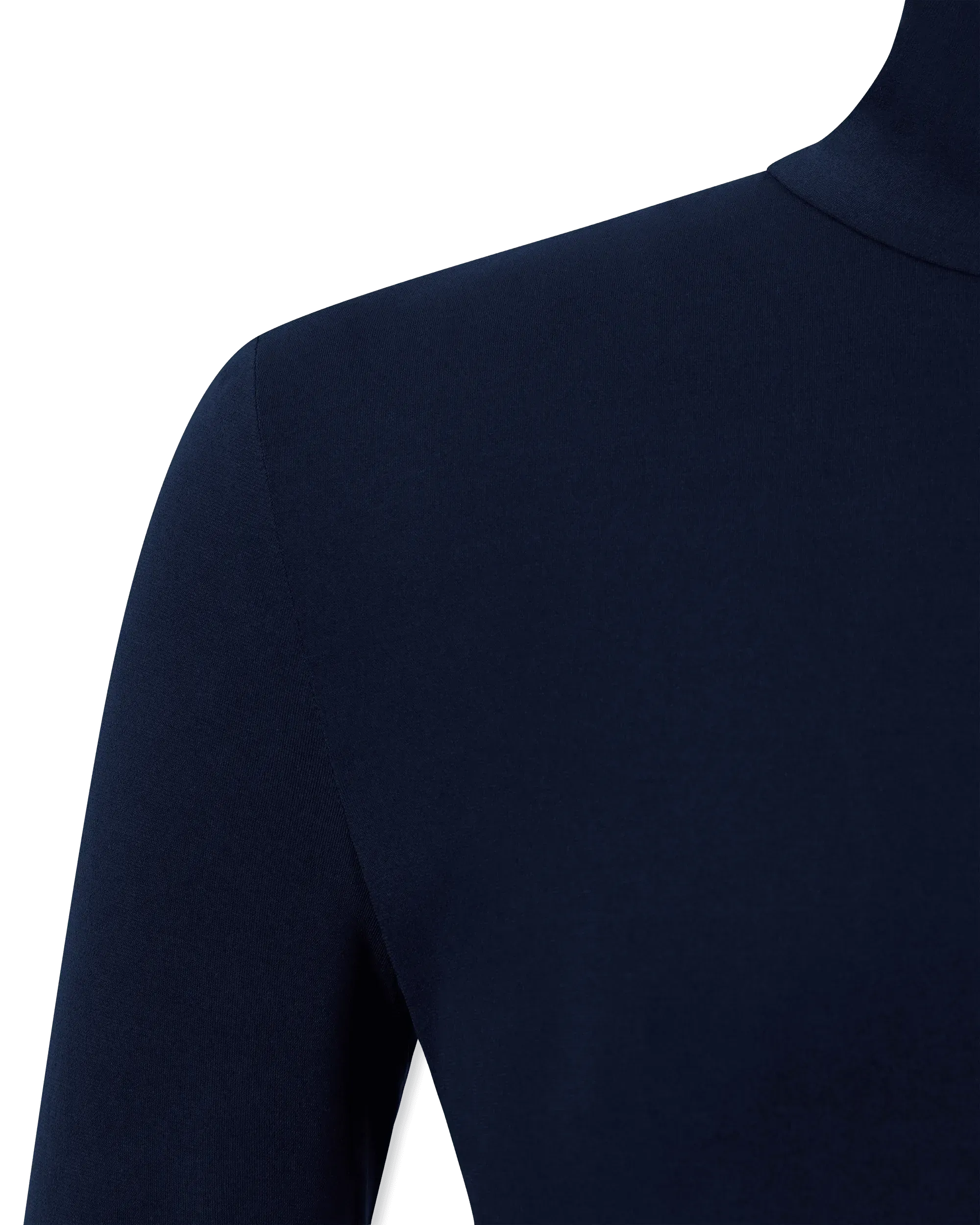 Slim Fit Long Sleeve Turtle Top
