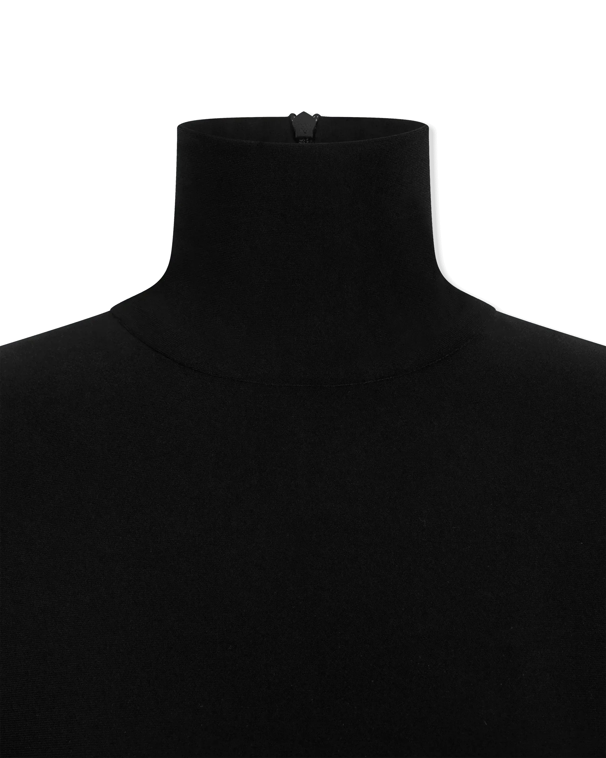 Slim Fit Long Sleeve Turtle Top