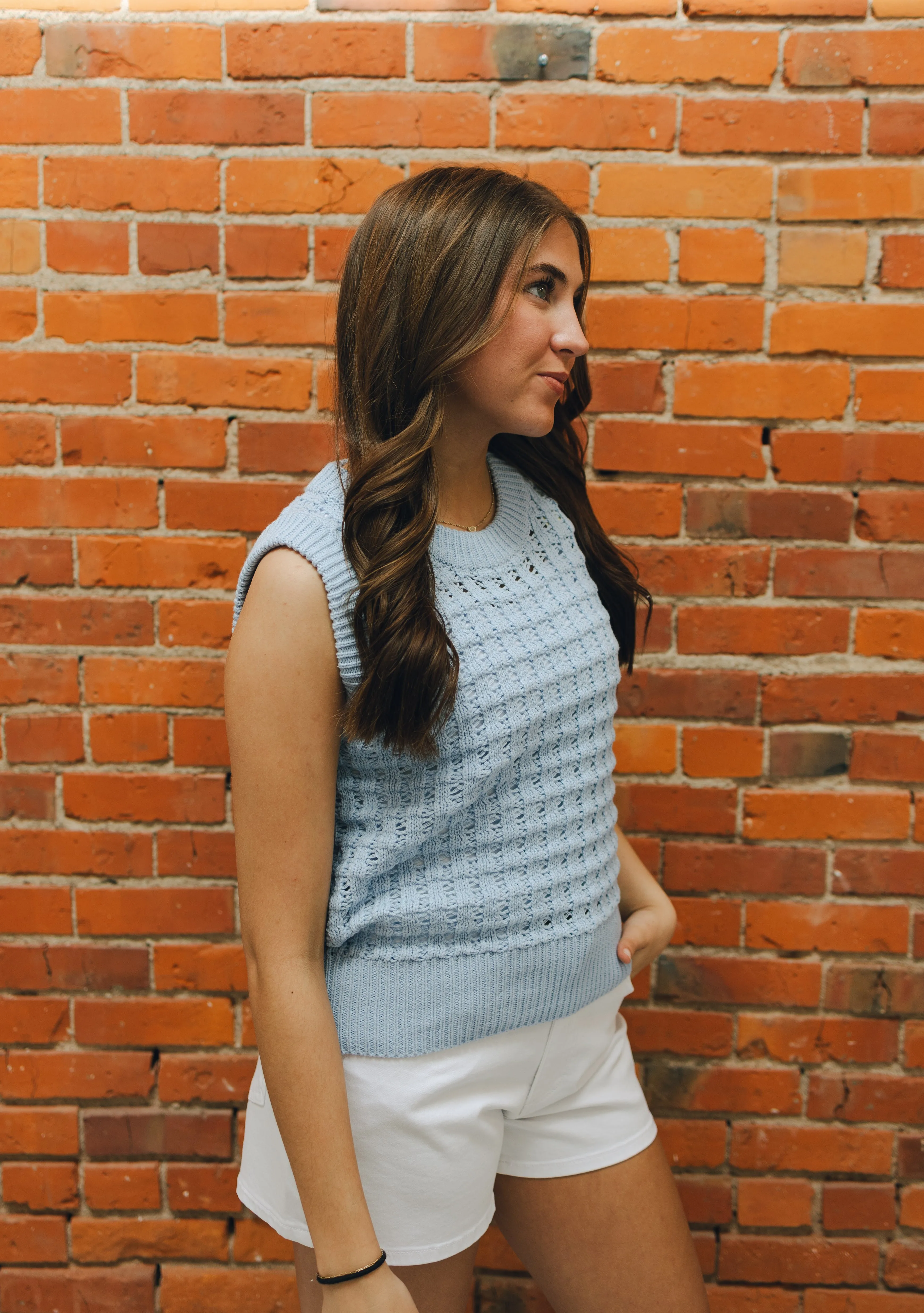 Solid Eyelet Sleeveless Sweater