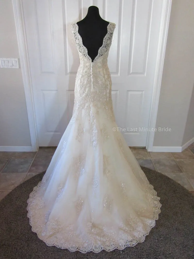 Stella York 5922 size 12
