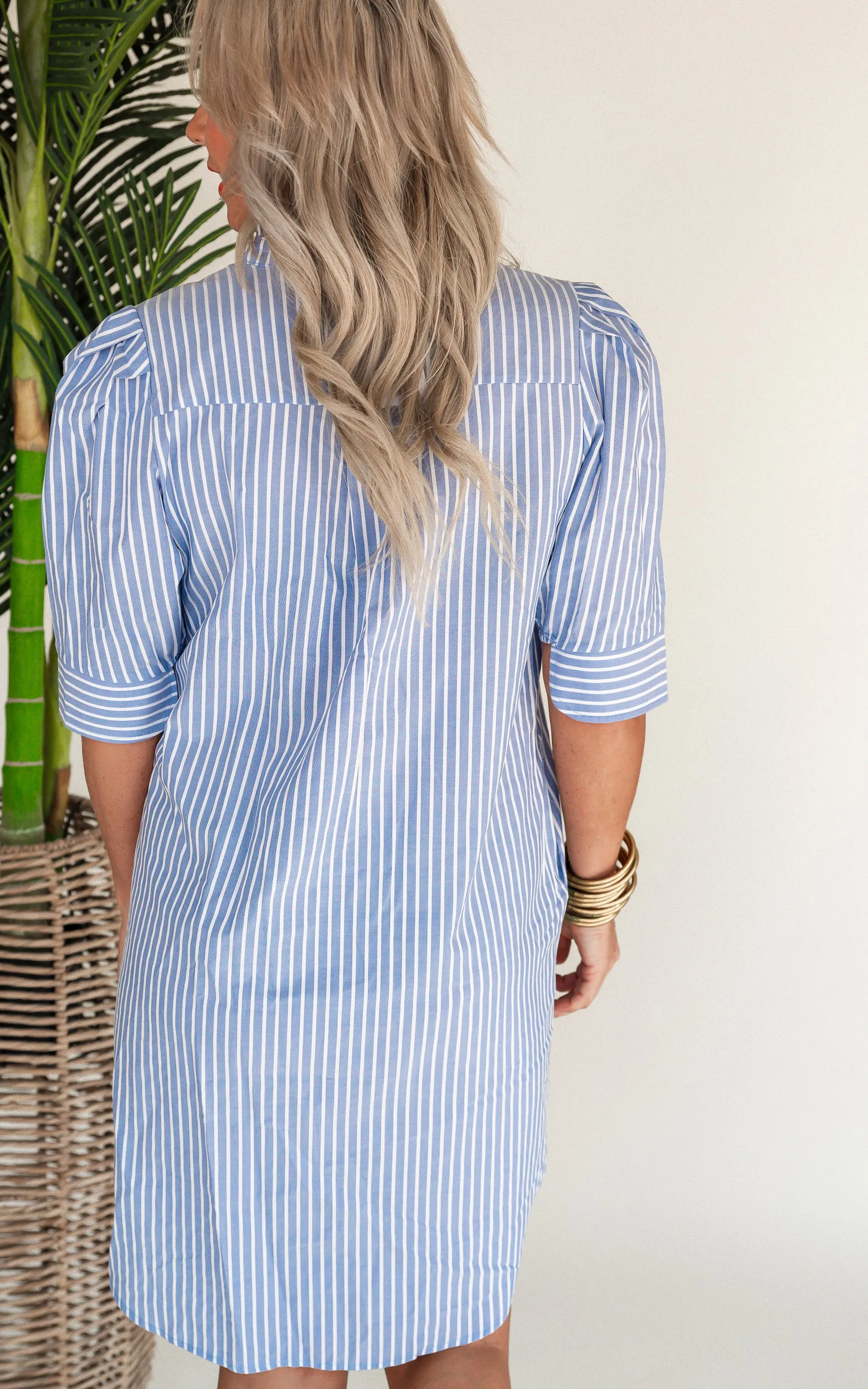 The Callie Denim Stripe Shirt Dress by Adrienne - Final Sale
